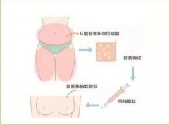 能瘦身，還能豐胸。