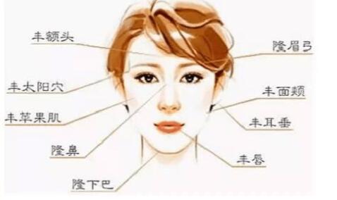 自體脂肪的成活率大約多少錢?