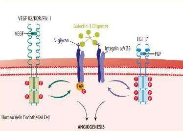 使用的注意事項(xiàng)