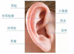 耳朵畸形怎么辦？可以做矯正嗎？