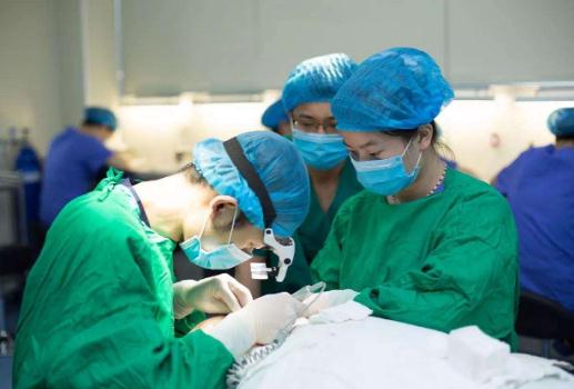 頭發(fā)種植要多久才能恢復(fù)？