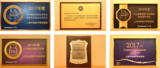 榮譽(yù)獎(jiǎng)項(xiàng)