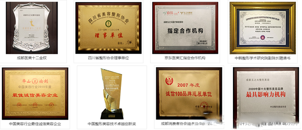 成都潤(rùn)美玉之光整形美容醫(yī)院榮譽(yù)獎(jiǎng)牌