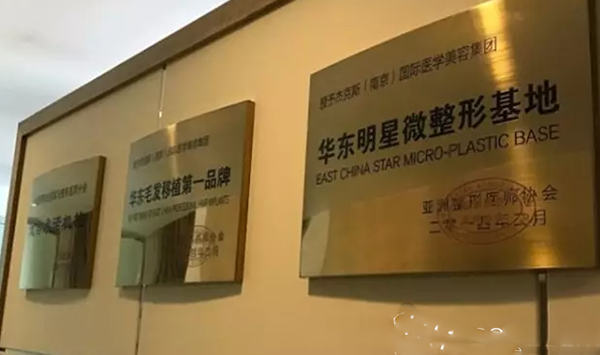 南京江寧杰克斯獲得榮譽(yù)