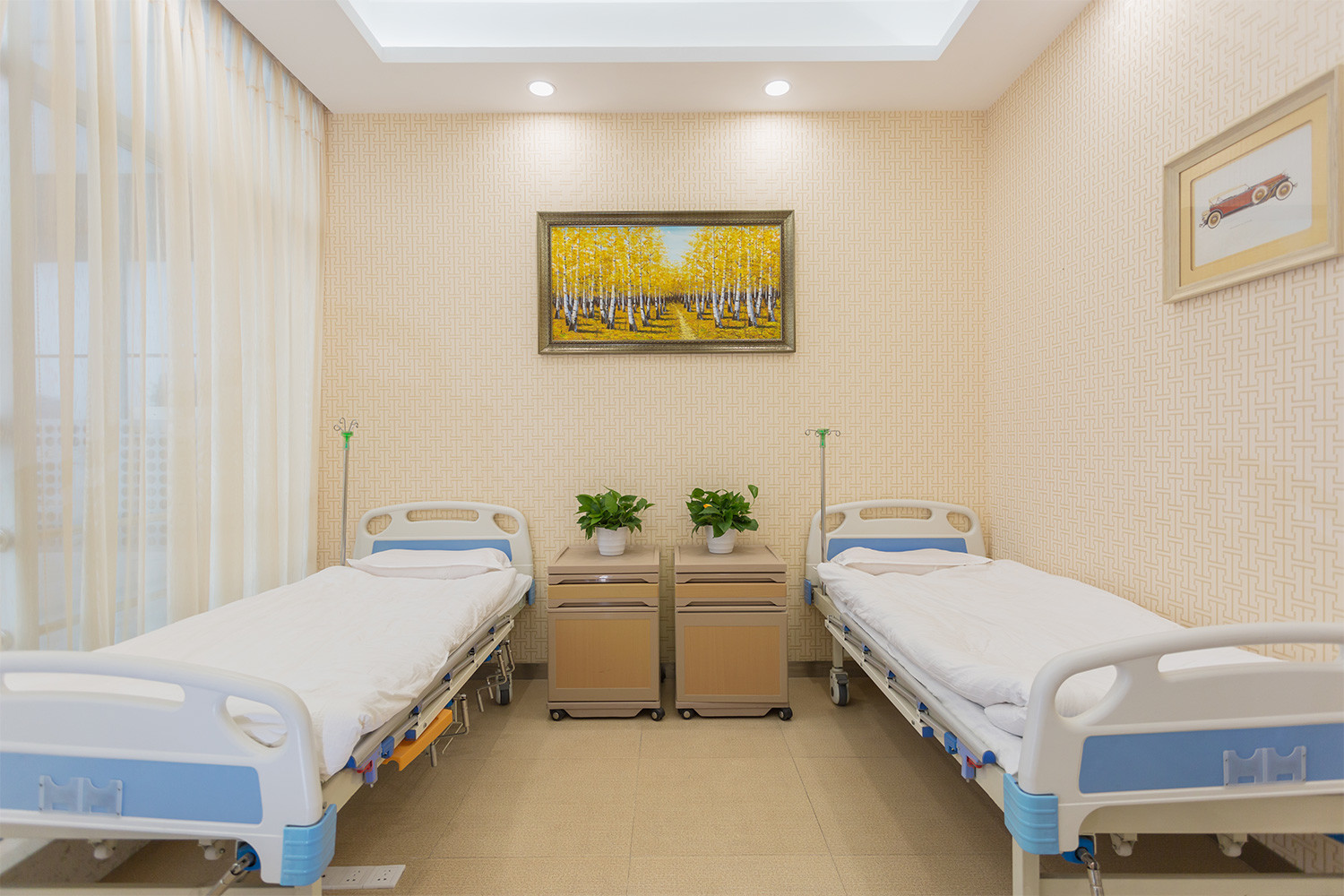 汪軍醫(yī)生-介紹-成都首瑞植發(fā)醫(yī)院