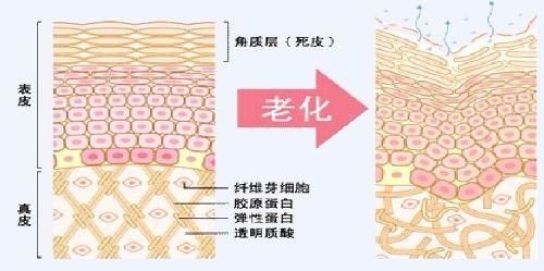 做了脂肪填充過(guò)后是否會(huì)發(fā)生腫塊、凸凹不平的狀況？