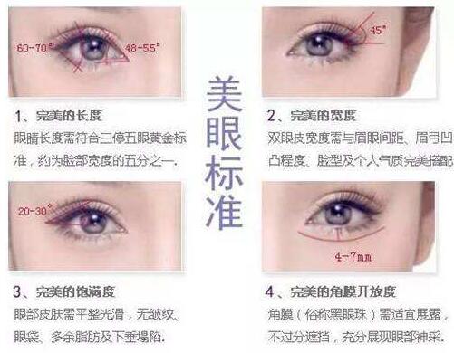 眼睛的美眼標(biāo)準(zhǔn)