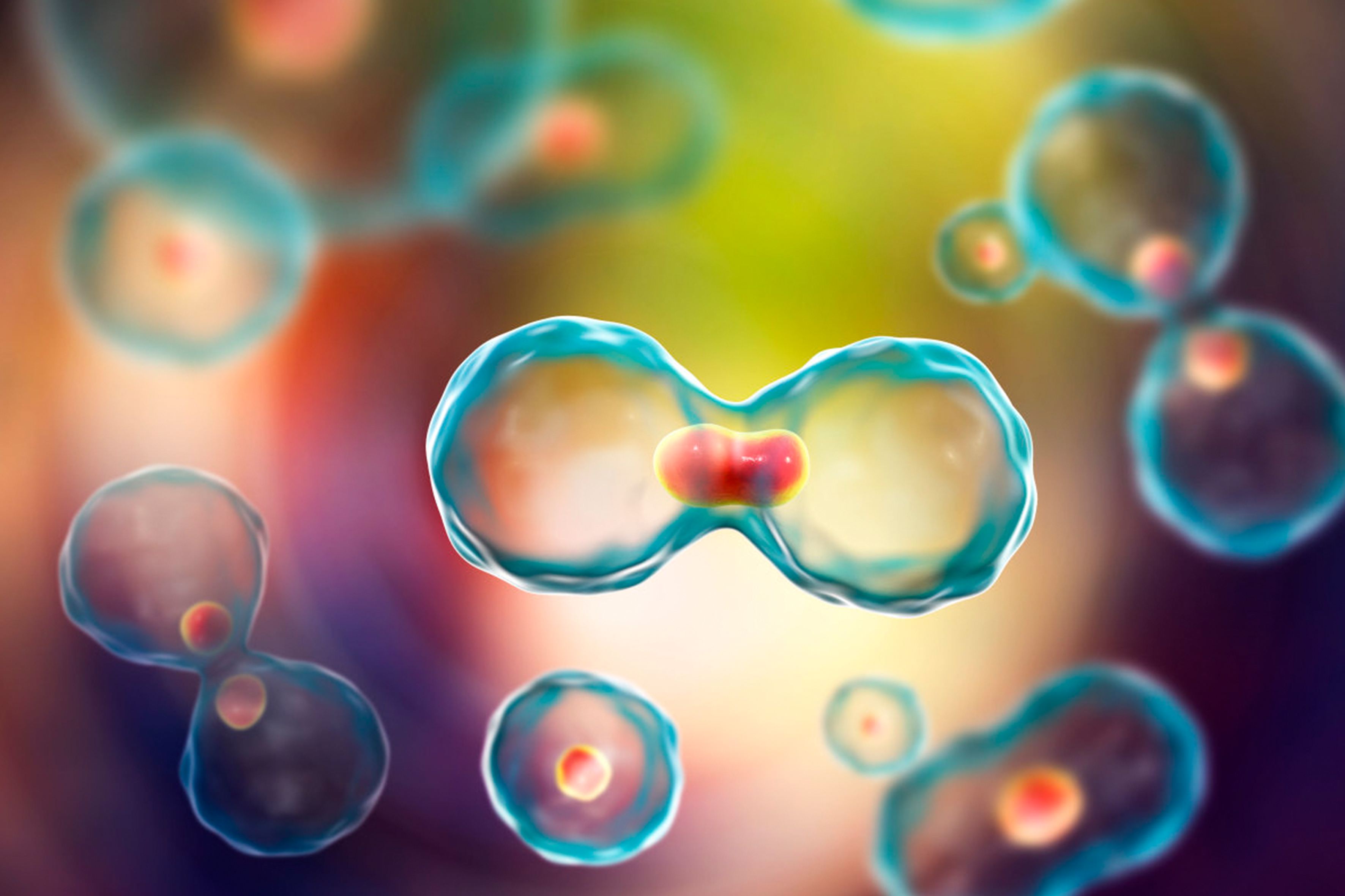 隆鼻果怎么樣？這個(gè)手術(shù)到底是個(gè)啥？！