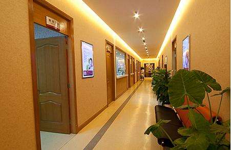 趙紅梅醫(yī)生-個人簡介-口碑-上海時光整形外科