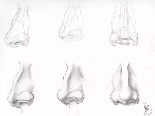 面部一枝花，全靠鼻當(dāng)家