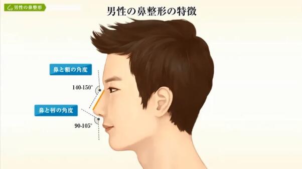 鼻子的角度是什么？