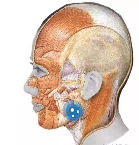 咬肌切除手術(shù)風(fēng)險(xiǎn)大么