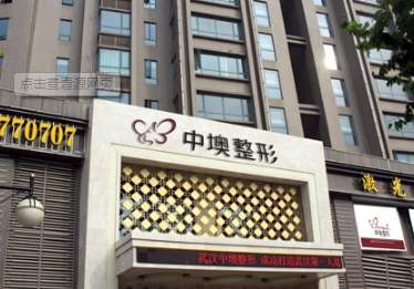 武漢中墺<a href=