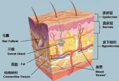 這個吸脂層次要做的好了 你的身材就妥妥的了！