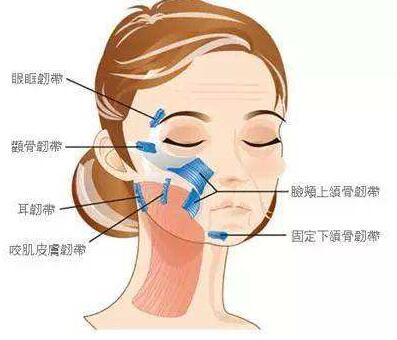 真人體驗(yàn)證明：埋線提升3次就可年輕10歲