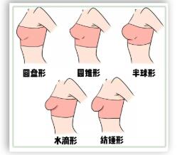 女性的隱秘話題：按摩胸部也能夠變大？讓胸部變大的方法在這里