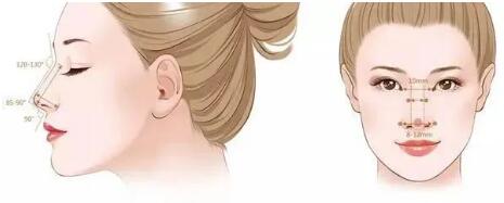 鼻子的美可是至關(guān)重要