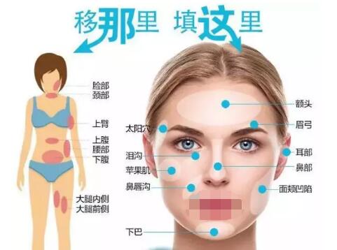 面對無法抵擋“衰老”的到來