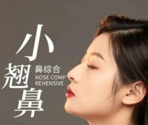 自體耳軟骨隆鼻多少錢?適應(yīng)耳軟骨隆鼻的人有哪些?