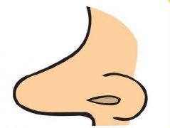 誰適合做鼻孔整容？2021鼻孔整形價格表【10月】更新中