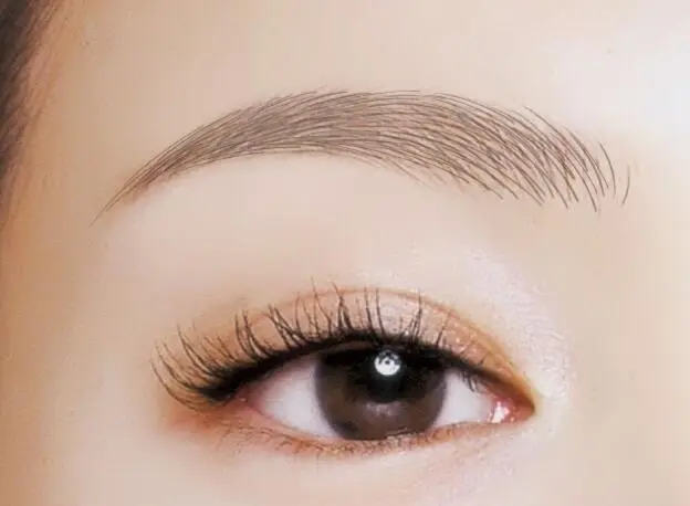 紋眉和繡眉的區(qū)別是什么?