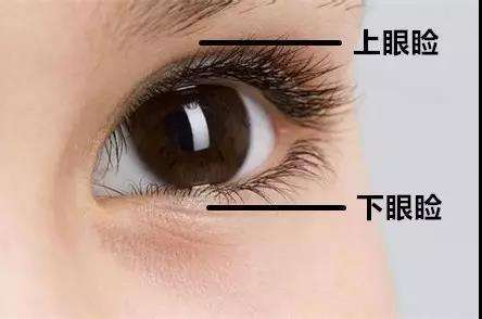 眼瞼抽脂是不是長期性的？眼瞼抽脂適合哪些人？