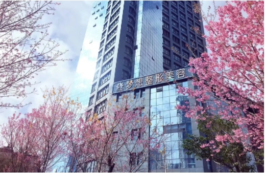 昆明夢想醫(yī)療美容醫(yī)院.jpg