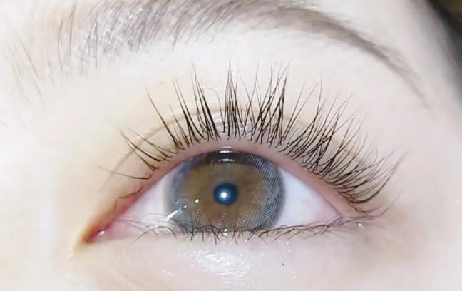 燙睫毛的果可以維持多久?