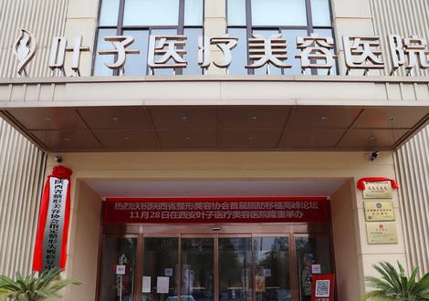 西安整形醫(yī)院匯總單前十抓:葉子、藝星等四家推薦，口碑擅長全梳理