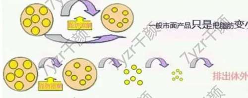 激光溶脂有什么優(yōu)勢(shì)，副作用是什么