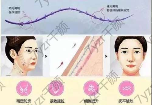 和蛋白線有哪些相同的作用？