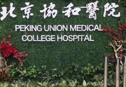 北京協和醫(yī)院脂肪填充價格是多少？斯樓斌醫(yī)生簡介/掛號預約一覽