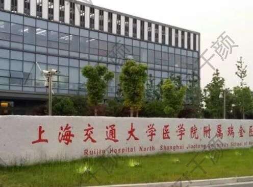 上海種植牙齒哪家醫(yī)院比較好？五大公立牙科強(qiáng)勢(shì)來(lái)襲！性價(jià)比高、技術(shù)也好